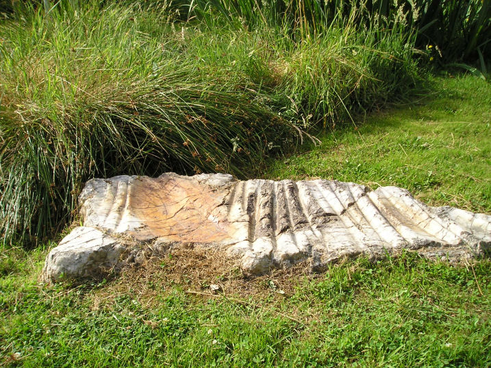 St Benoit polissoir, near St James. 
Not a million miles from Mont St Michel, this lovely polissoir stone is nowadays nicely kept in a little garden type area beside the lane.