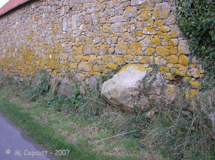 Trigalle dolmen