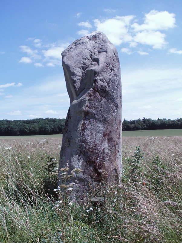 Menhir dit la Pierre de Gargantua (Neaufles)