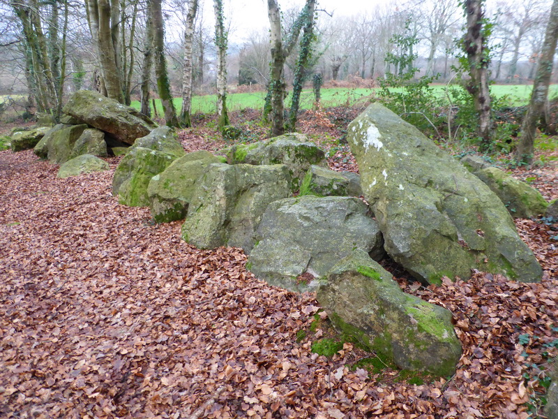 Petite Roche allée couverte