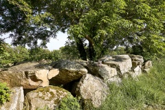 Autel des Druides des Moitiers d'Allonne