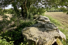 Autel des Druides des Moitiers d'Allonne