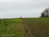 Menhir des Planches