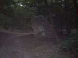 Menhir dit la Pierre d'Etat - PID:79024