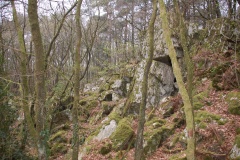 Rocher du Dolmen (Mortain)