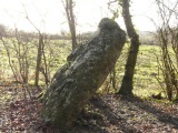 Menhir de Boulay-Filleul - PID:85922