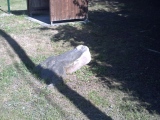 Le Wuy Menhir - PID:78845