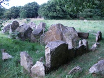 Allée couverte du Bois de la Plesse (Sud)