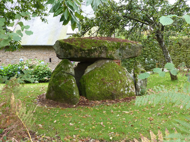 Through a gap in the hedge from the edge of the field of maize, the dolmen can be seen in its garden setting. 