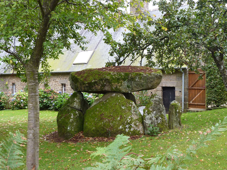 Through a gap in the hedge from the edge of the field of maize, the dolmen can be seen in its garden setting. 
