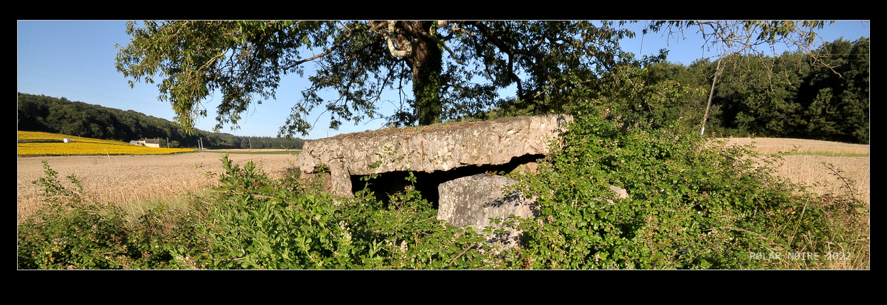 Avort Dolmen