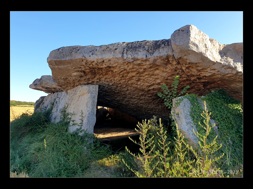 Click for full size image of Dolmen de la Pagerie (PID:244828) Dolmen de la Pagerie