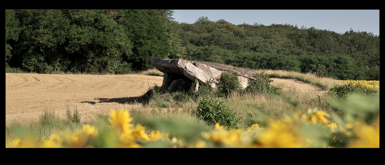 The outer dimensions of this gigantic dolmen are 14m by 7,6m. The 4,6m long and partly collapsed porticus capstone looks small compared to the gigantic chamber capstones measuring 7,6m by 6m (centre) and 6,8m by 6m.

Reference: Gruet, M., Inventaire des mégalithes de la France - Maine et Loire, 1967, p. 127-129.