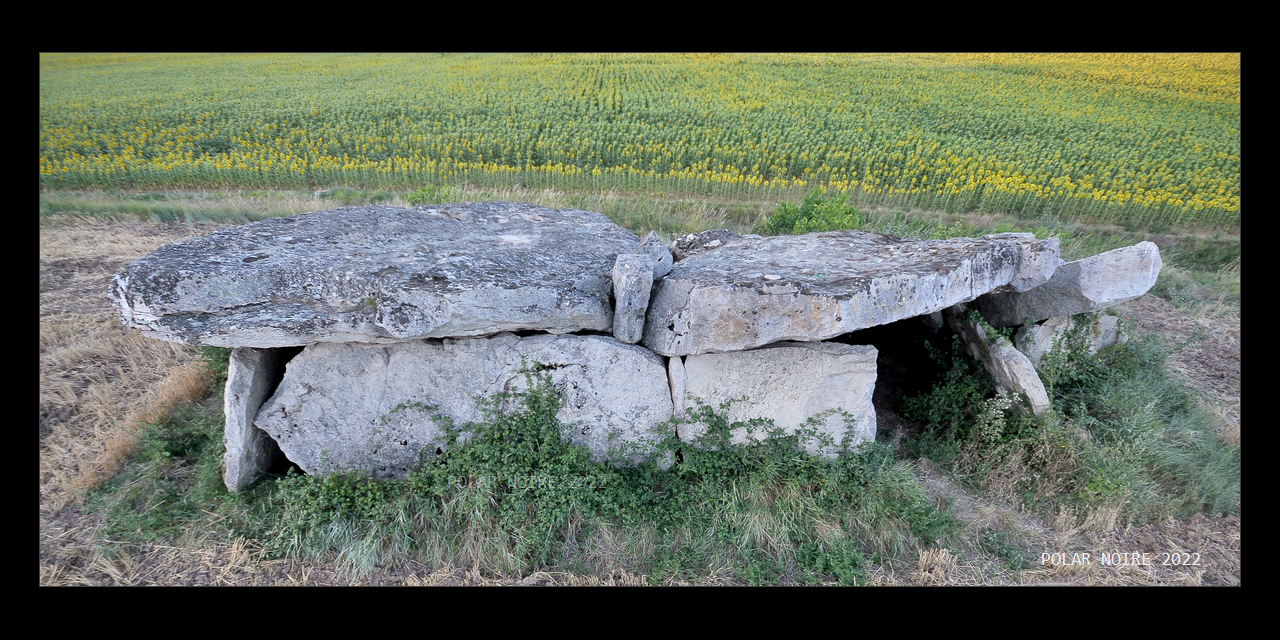 Click for full size image of Dolmen de la Pagerie (PID:245357) Dolmen de la Pagerie