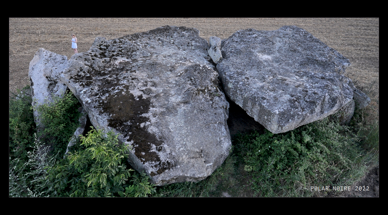 Click for full size image of Dolmen de la Pagerie (PID:246191) Dolmen de la Pagerie