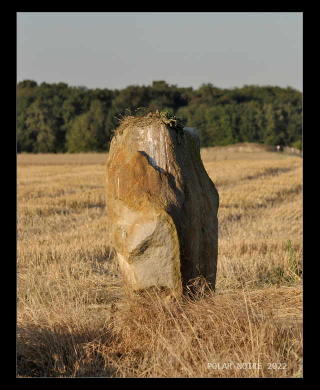 Moulin de la Butte Menhir (Gennes)