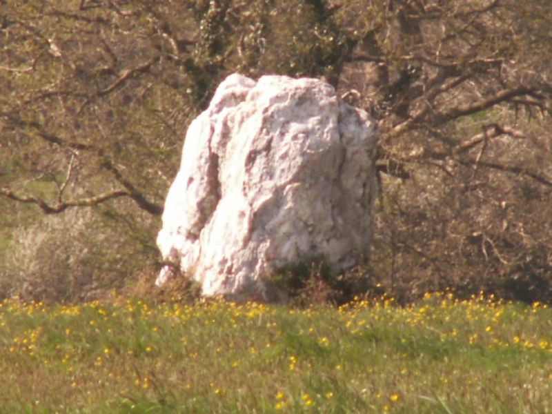 La Pierre Blanche (Kerbourg)