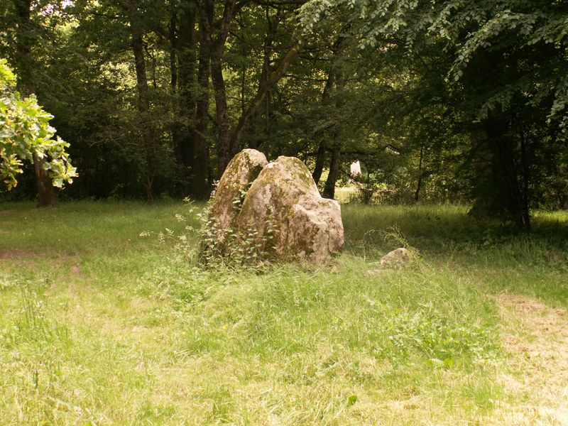 Deux Menhirs Prés Moreau