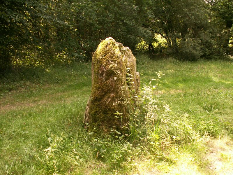 Deux Menhirs Prés Moreau