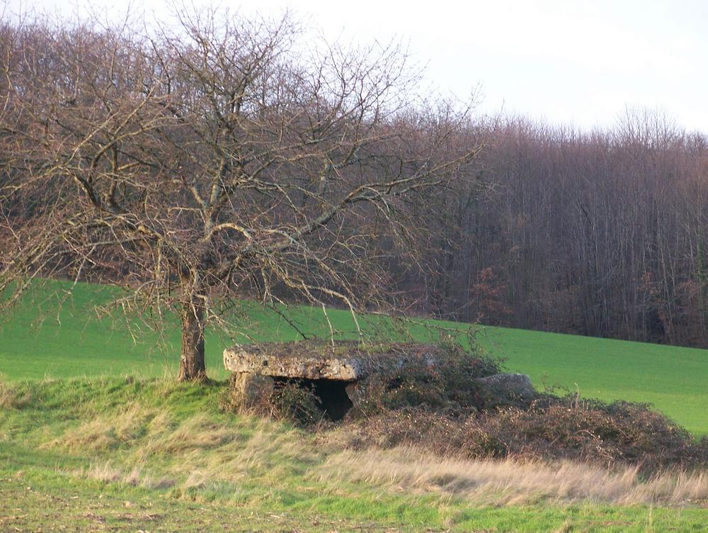 Avort dolmen