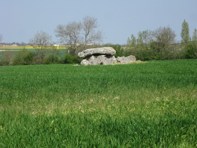 Dolmen de Savatole 1