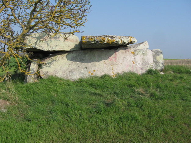 Dolmen de la Forêt (Gennes)