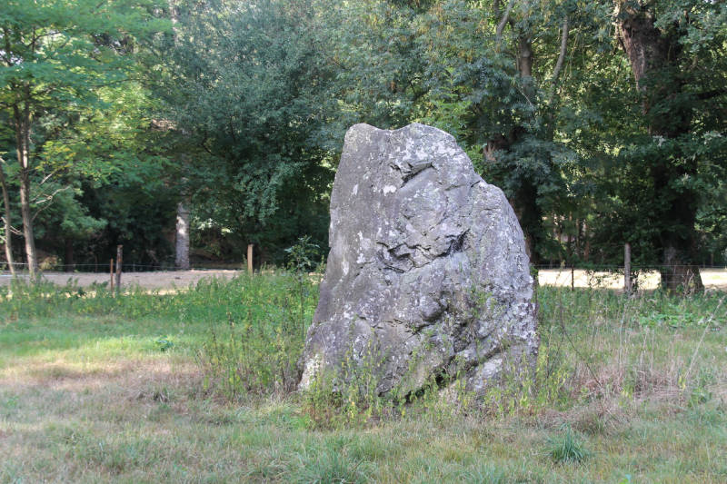 Click for full size image of La Limouzinière (PID:169901) La Limouzinière