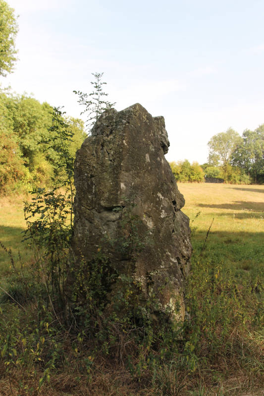 La Limouzinière