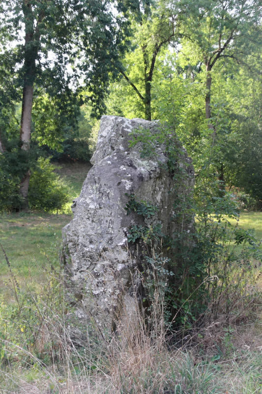 Click for full size image of La Limouzinière (PID:169899) La Limouzinière