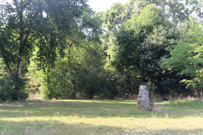 Site in Pays de la Loire:Vendée (85) France

Menhir situé dans une prairie nommée 