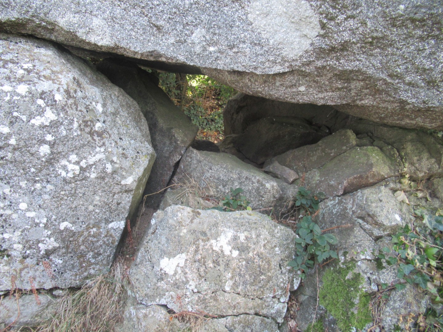 Dolmen du Marchais