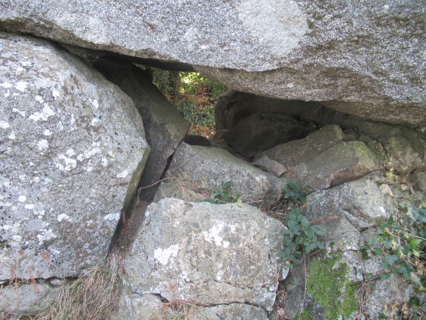 Dolmen du Marchais