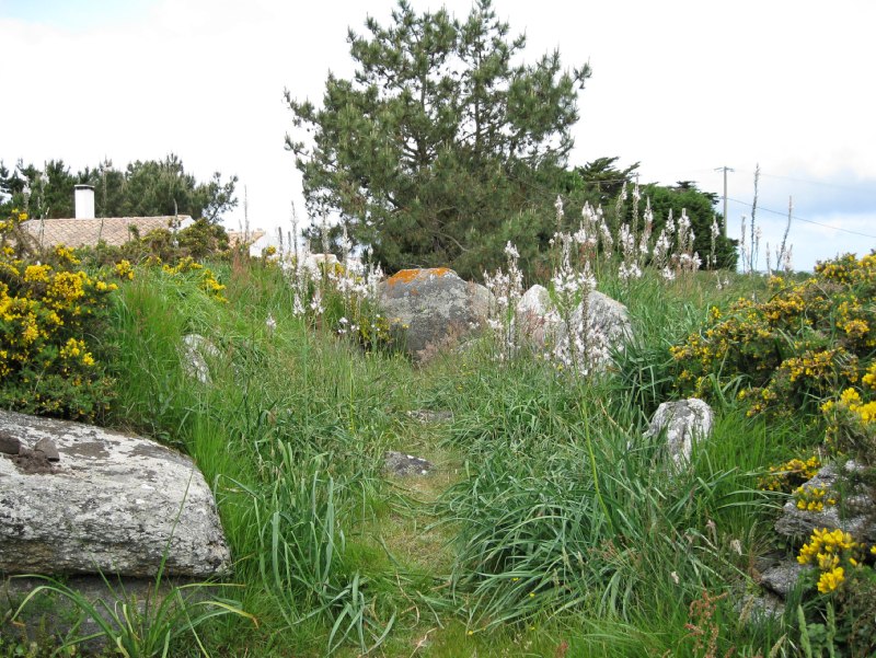 Dolmen des Tabernaudes