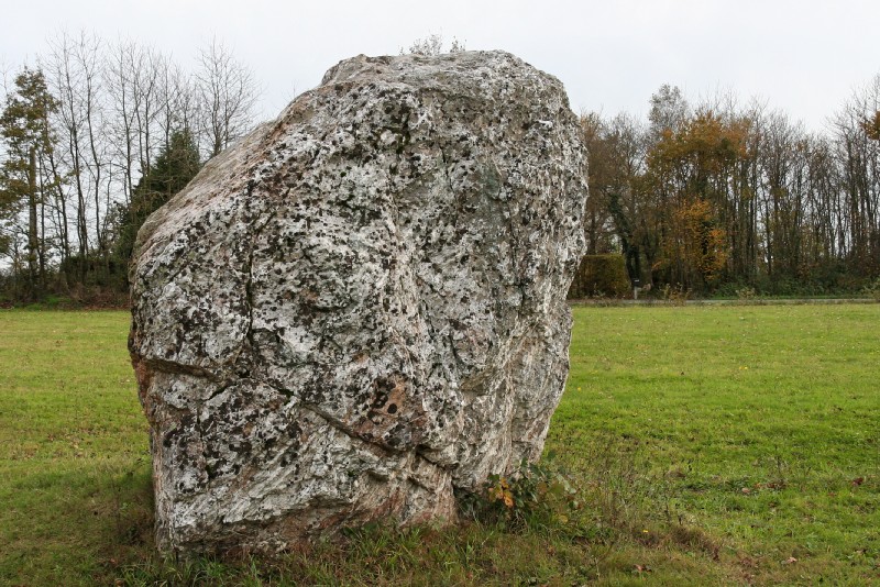 Menhir le Pierre Folle (Plessé)