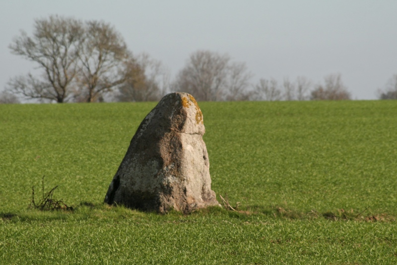 Menhir des Ouches