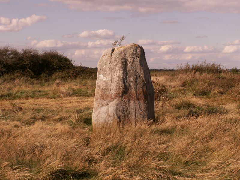 Pierre Blanche (St-Malo-de-Guersac)