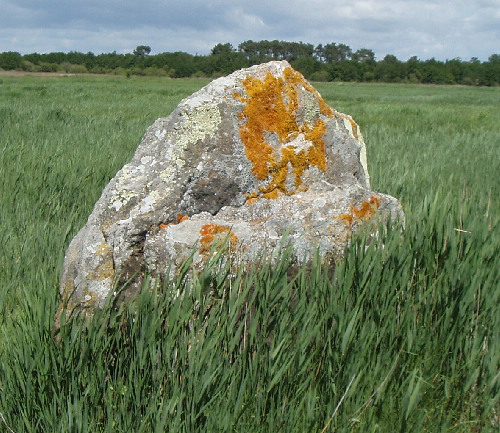 La Pierre De Len Menhir