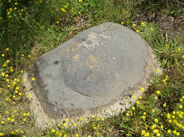 La Pierre De Len Menhir