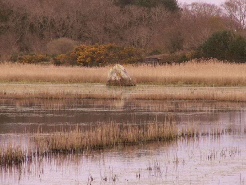 La Pierre De Len Menhir