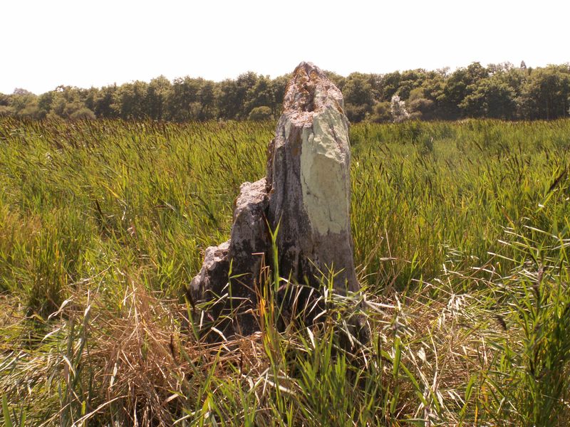 La Pierre De Len Menhir