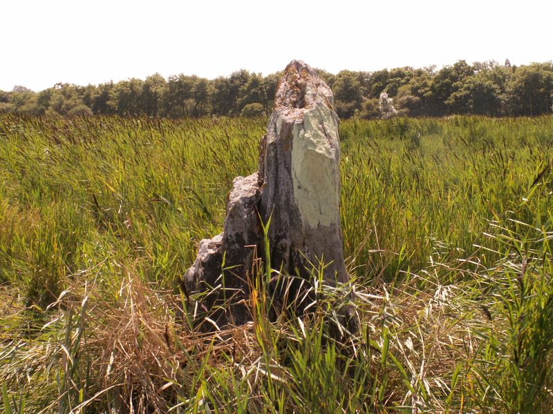 La Pierre De Len Menhir