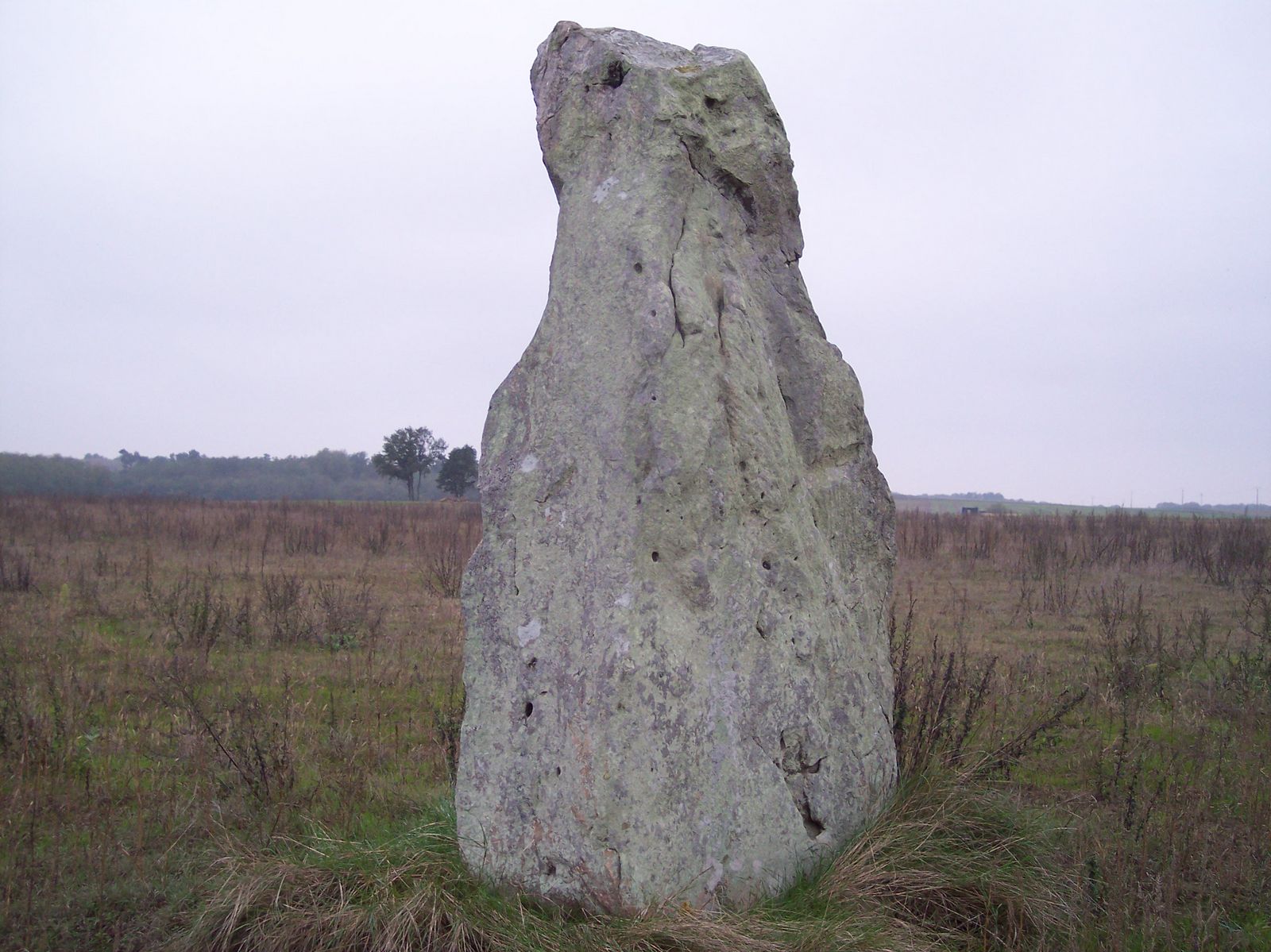 Menhir du Bois Gilbert