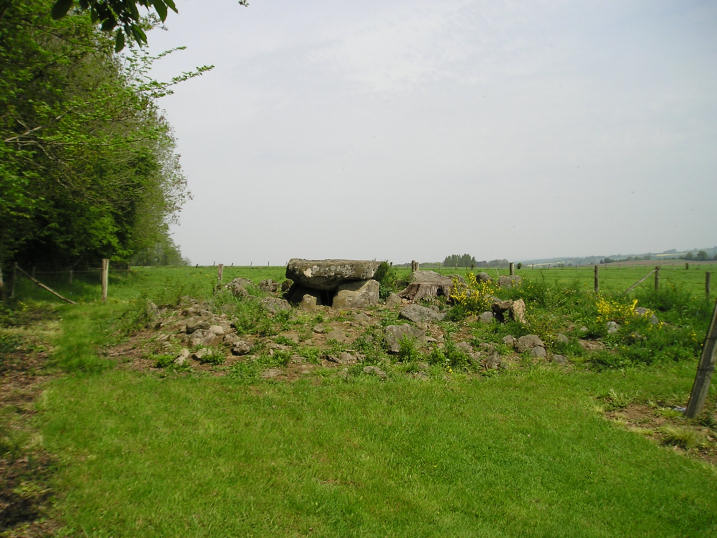 Click for the gallery page to add comments and vote (PID:13710) Bignon Dolmen