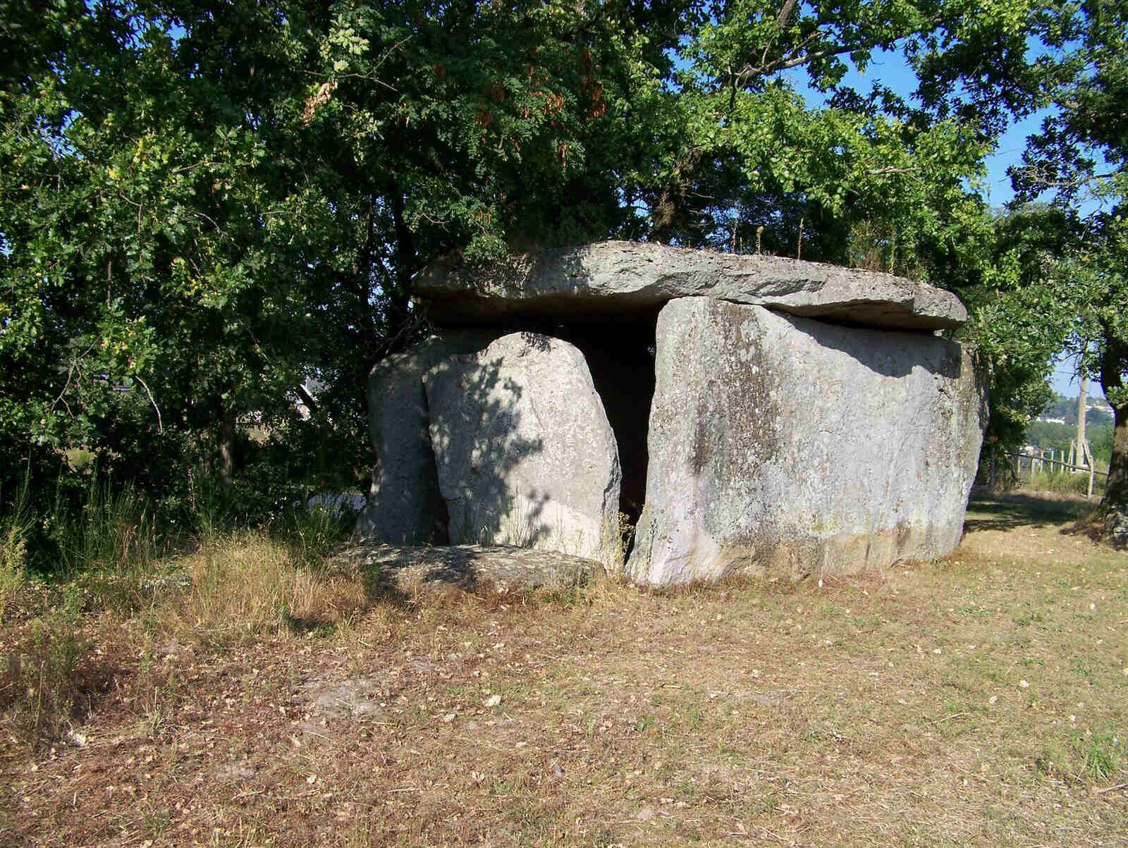 Le Petit Dolmen De Bagneux