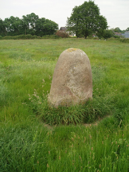 1.5 Meter tall rounded menhir In Fields 3 km South of La Haute Noé, in Hamlet of Gautrais.