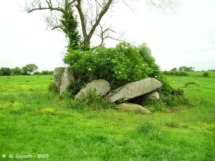 Dolmen dit La Salle des Fées