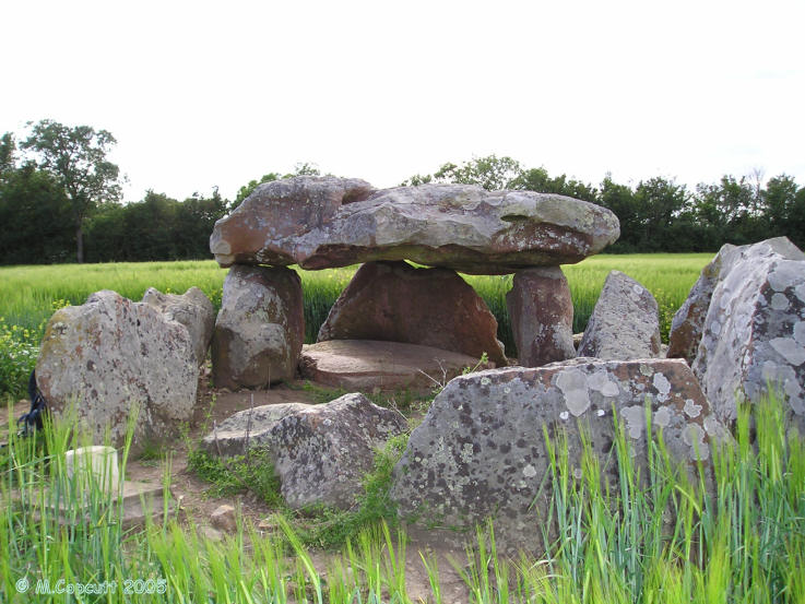 Click for the gallery page to add comments and vote (PID:18001) Dolmen de Savatole 1