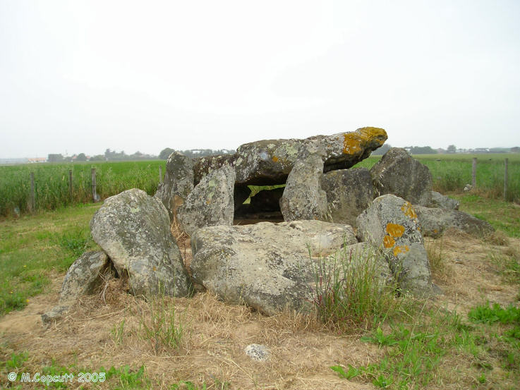 Dolmen du Grand-Bouillac