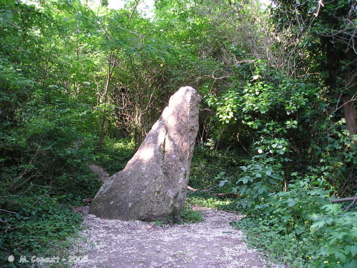 Click for the gallery page to add comments and vote (PID:18189) Menhir dit la Conche-Verte