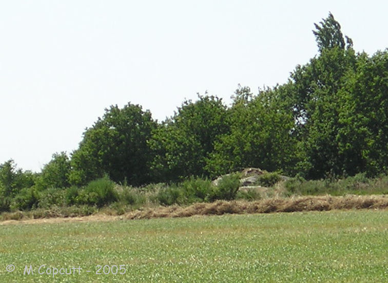 Karlane Dolmen